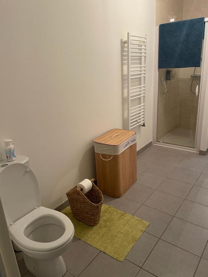 Appartement Avec Terrasse Proche De Rennes Saint-Jacques-de-la-Lande Kültér fotó